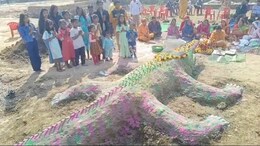 मकर संक्रांति पर इस जगह होती है मगरमच्छ की पूजा, जानिए इसके पीछे क्या है वजह?&nbsp;