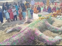मकर संक्रांति पर इस जगह होती है मगरमच्छ की पूजा, जानिए इसके पीछे क्या है वजह?  मकर संक्रांति पर इस जगह होती है मगरमच्छ की पूजा, जानिए इसके पीछे क्या है वजह?