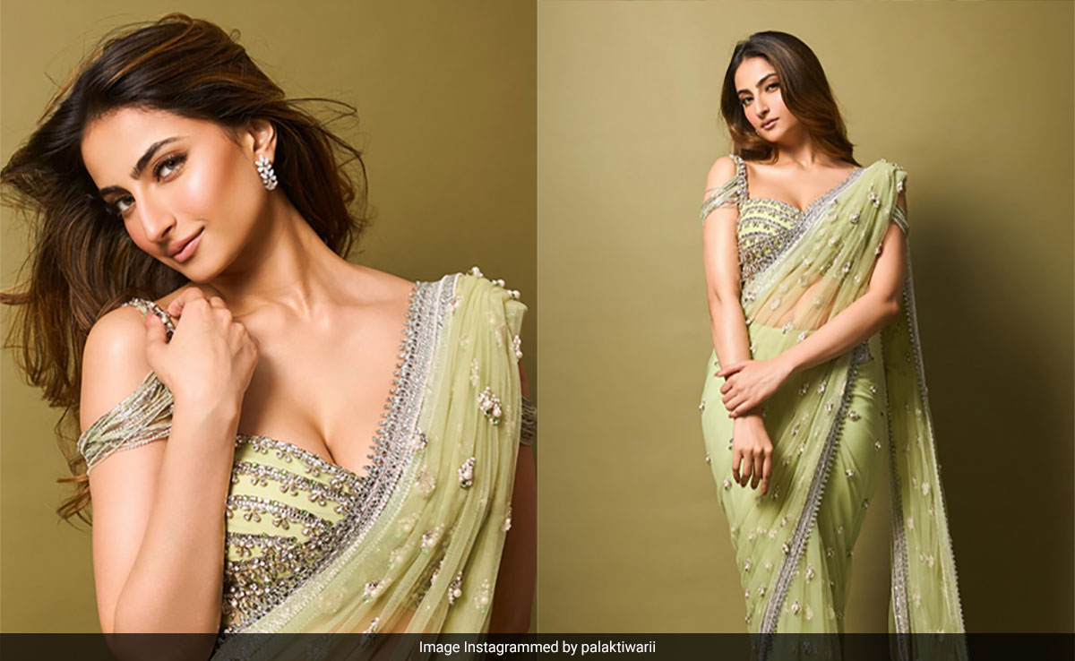 Palak Tiwari's Lime Green <i>Saree</i> Deserves Special Attention This Wedding Season