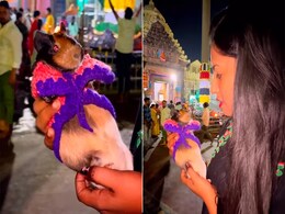 भगवान के दर्शन के लिए आया यह चूहा बोलता है 'जय जगन्नाथ', वीडियो देख नहीं होगा आंखों पर यकीन भगवान के दर्शन के लिए आया यह चूहा बोलता है 'जय जगन्नाथ', वीडियो देख नहीं होगा आंखों पर यकीन