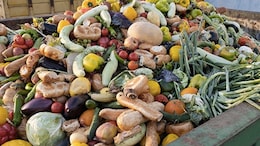 Report Suggests Technology Can Help Combat Food Wastage In India