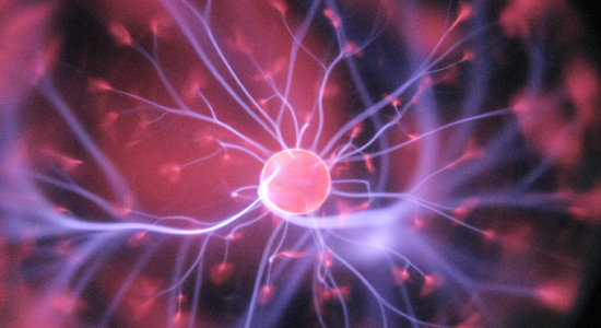 Rich in folate, leafy greens support stem cell differentiation and regeneration