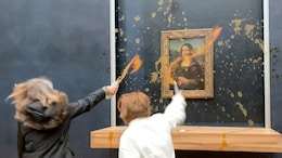 Protesters Throw Soup At Mona Lisa Painting In France, Here's Why