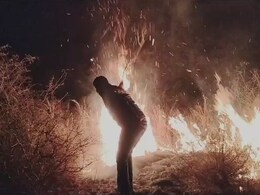 Rajasthan Forest Fire: 4 KM तक फैली जंगल की आग, 50 लोगों ने मिलकर 5 घंटे में पाया काबू Rajasthan Forest Fire: 4 KM तक फैली जंगल की आग, 50 लोगों ने मिलकर 5 घंटे में पाया काबू