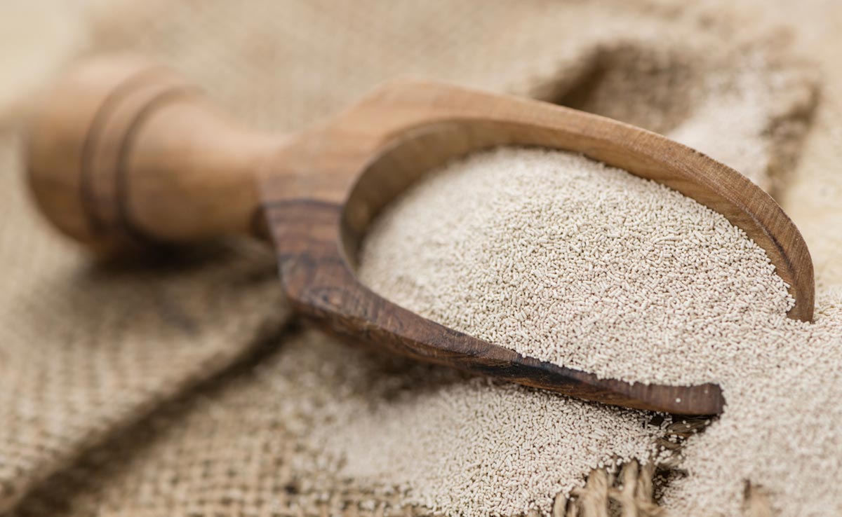 Nutritional yeast contains all the essential amino acids,