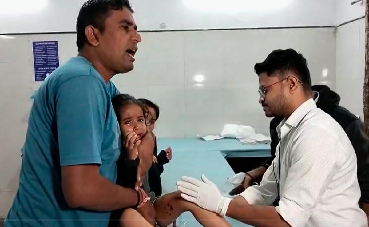 Bhopal: स्कूल से लौट रहे दो मासूमों पर आवारा कुत्तों ने किया हमला, डॉग्स के खिलाफ कार्रवाई पर भड़के पेट लवर्स