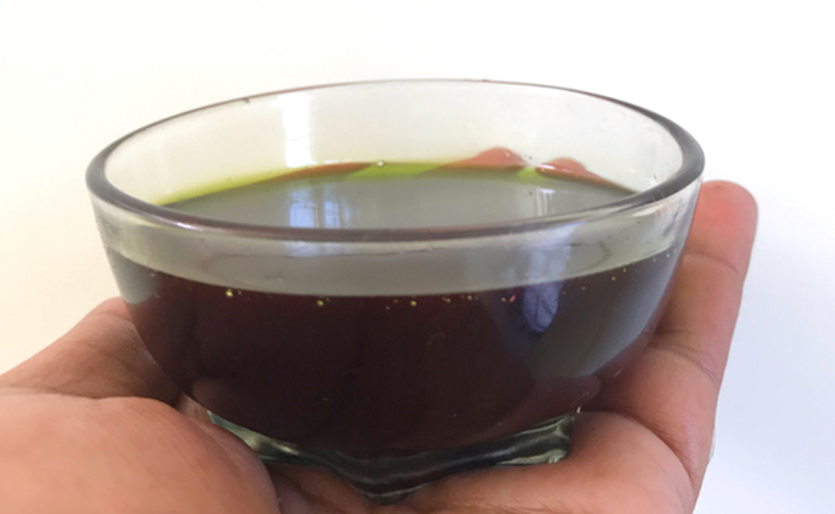 कभी लगाकर देखा है मोरिंगा का तेल? बालों को बढ़ाने से लेकर चमकदार बनाने तक में काम आता है Moringa Oil 