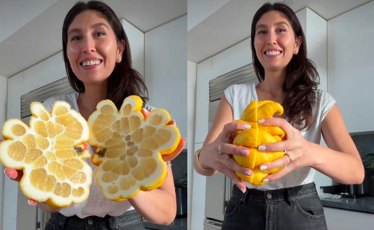 "Devil Fruit" - Viral Video Of Giant Lemon Gets 25 Million Views, Leaves Internet "Frightened"