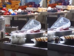 IRCTC के स्टॉल पर चूहों ने उड़ाई दावत, मजे से खाना खाते दिखी पलटन, Video देख Railways पर उठे सवाल IRCTC के स्टॉल पर चूहों ने उड़ाई दावत, मजे से खाना खाते दिखी पलटन, Video देख Railways पर उठे सवाल