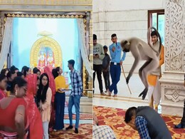 राम मंदिर में मत्था टेक रहा था शख्स, आशीर्वाद देने स्वयं आ गए बजरंगबली के 'दूत', भक्तों ने लगाए जय श्री राम के नारे राम मंदिर में मत्था टेक रहा था शख्स, आशीर्वाद देने स्वयं आ गए बजरंगबली के 'दूत', भक्तों ने लगाए जय श्री राम के नारे