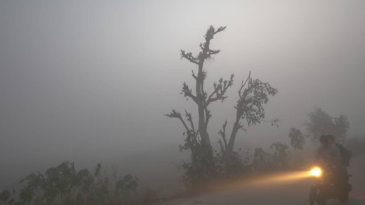 Weather Update: ठंड से कांप रहा मध्य प्रदेश-छत्तीसगढ़, घने कोहरे को लेकर IMD ने जारी किया अलर्ट