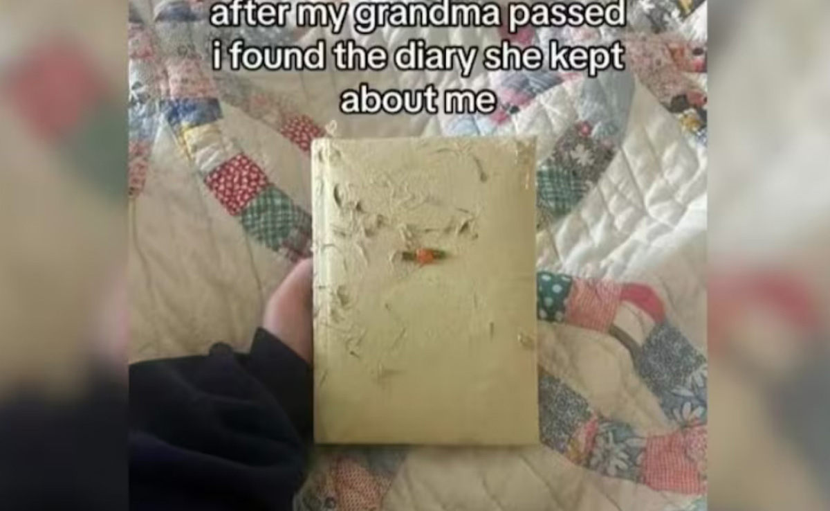 पोती को मिली दादी की सीक्रेट डायरी, पन्ने पलटे तो आंखों में भर आए आंसू, पढ़कर आपको भी आ जाएगा रोना