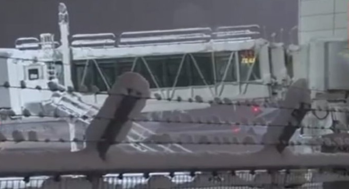 Passenger Plane “Struck” By Korean Airliner At Japan Airport, No Injuries Passenger Plane “Struck” By Korean Airliner At Japan Airport, No Injuries