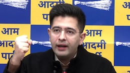 Opinion | AAP And Raghav Chadha At A Political Crossroads