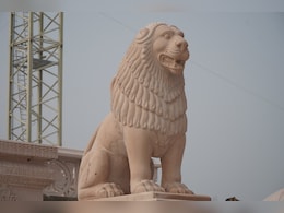 Pics: Statues Of Elephants, Lions Installed At Ram Temple Entrance Pics: Statues Of Elephants, Lions Installed At Ram Temple Entrance