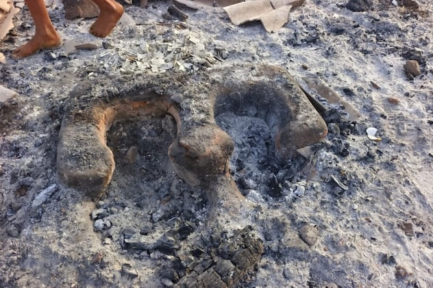 Latest and Breaking News on NDTV Latest and Breaking News on NDTV