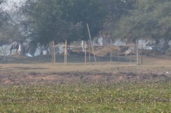 Elephant Herd Triggers Chaos Among Picnic Group In Assam Elephant Herd Triggers Chaos Among Picnic Group In Assam