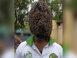 शख्स के चेहरे पर बना मधुमक्खियों का छत्ता, VIDEO देख खड़े हो जाएंगे रोंगटे शख्स के चेहरे पर बना मधुमक्खियों का छत्ता, VIDEO देख खड़े हो जाएंगे रोंगटे