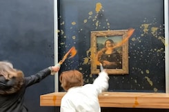 Activists Splash Soup On Glass-Protected Mona Lisa In Paris Activists Splash Soup On Glass-Protected Mona Lisa In Paris