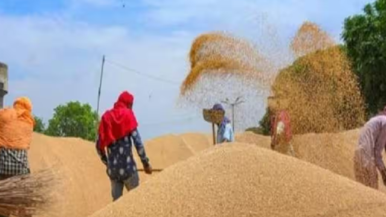 Raipur में धान खरीदी की तारीख बढ़ाने पर कोई Action नहीं, ये है किसानों की मांग