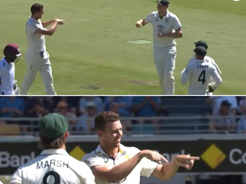 Covid-Positive Australia Star Tries To Join Team Celebration Against West Indies. This Happens Next