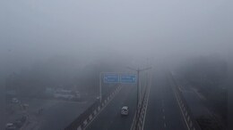 Sunny Day Gives Respite To Delhi After People See Season's Coldest Morning