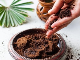 Babool chal benefits : बबूल छाल के सेहत को मिलते हैं 5 बड़े फायदे, जानिए यहां