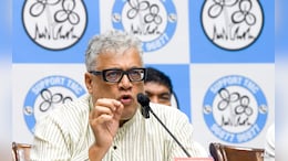 "Shows Woman's Consent Irrelevant": Derek O'Brien On Marital Rape Exception In Law