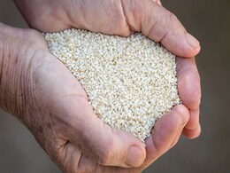 Makar Sankranti: मकर संक्रांति के दिन बेटों को तिल देने की भी है परंपरा, जानिए इसका क्या है महत्व Makar Sankranti: मकर संक्रांति के दिन बेटों को तिल देने की भी है परंपरा, जानिए इसका क्या है महत्व