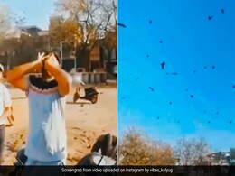 शख्स ने ऐसे निकाली कौवों की आवाज़, अचानक पक्षियों के झुंड से भर गया आसमान, Video देख हैरान हो रहे लोग शख्स ने ऐसे निकाली कौवों की आवाज़, अचानक पक्षियों के झुंड से भर गया आसमान, Video देख हैरान हो रहे लोग