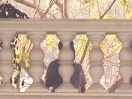 Lokayukta Cops Raid 10 Karnataka Officials In Disproportionate Assets Case