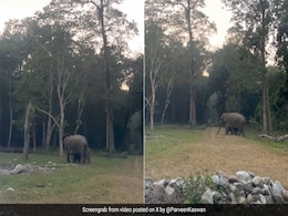 जंगल में कुछ इस तरह अपने बच्चों की रक्षा करते हैं हाथी, IFS ने शेयर किया Video, लोगों से पूछा ये सवाल जंगल में कुछ इस तरह अपने बच्चों की रक्षा करते हैं हाथी, IFS ने शेयर किया Video, लोगों से पूछा ये सवाल