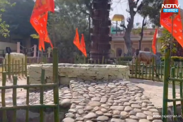 Latest and Breaking News on NDTV Latest and Breaking News on NDTV