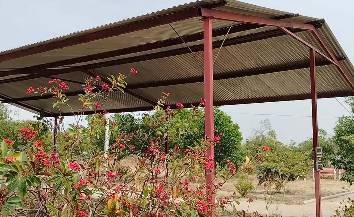 युवाओं की पहल से बदली तस्वीर, पार्क सा नजर आ रहा सार्वजनिक मुक्तिधाम