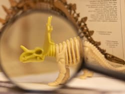 Scientists Discover 210-Million-Year-Old Dinosaur In Zimbabwe