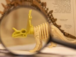 Scientists Discover 210-Million-Year-Old Dinosaur In Zimbabwe