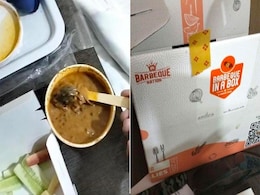 मुंबई में ऑर्डर किए गए खाने में मिला मरा चूहा, खाना खाने के बाद अस्पताल में भर्ती हुआ व्यक्ति, रेस्टोरेंट से मिला ये जवाब... मुंबई में ऑर्डर किए गए खाने में मिला मरा चूहा, खाना खाने के बाद अस्पताल में भर्ती हुआ व्यक्ति, रेस्टोरेंट से मिला ये जवाब...
