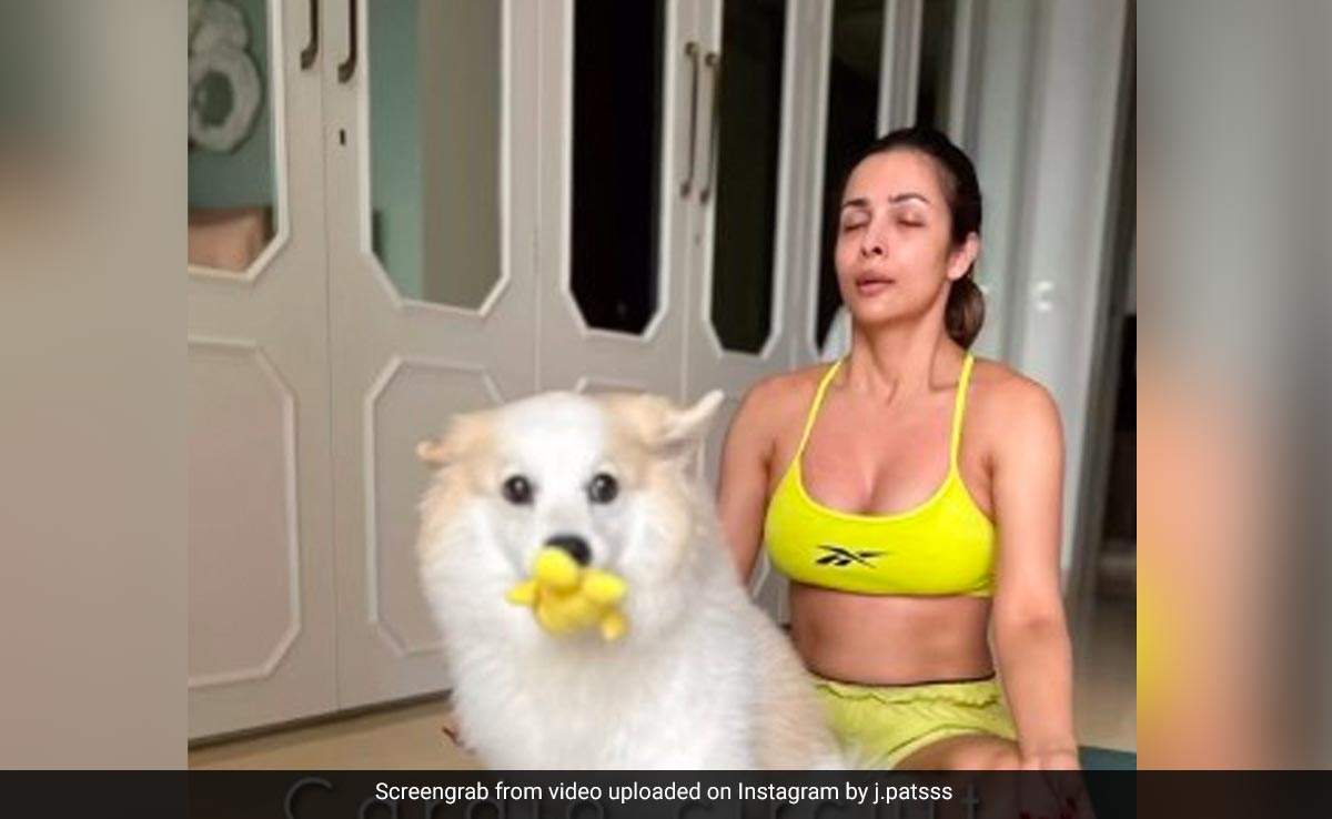 Malaika Arora's Cardio Diaries With A "Dose Of Casper's Energy"