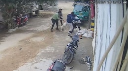 On CCTV, Pit Bull Grabs Baby From Grandfather's Lap, Bites Her
