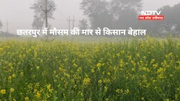 छतरपुर में मौसम की मार से किसान बेहाल, गलन भरी ठंड के बाद पाले का सितम.... फसलें हो रही बर्बाद&nbsp;