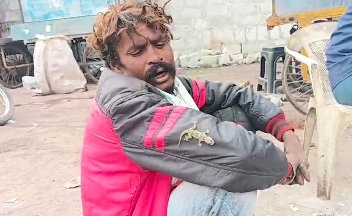 ग्वालियर में एक पशु प्रेमी ऐसा भी...कुत्ते-बिल्ली के बजाय पाली छिपकली, दोनों 24 घंटे रहते हैं साथ