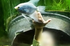 Suchana Seth's Insta Post On Son, Months Before Allegedly Killing Him Suchana Seth's Insta Post On Son, Months Before Allegedly Killing Him