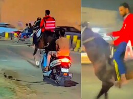 जोमैटो राइडर ने घोड़े पर बैठकर पहुंचाया खाना, इंटरनेट ने इसे "पीक हैदराबाद" का दिया नाम- Viral Video