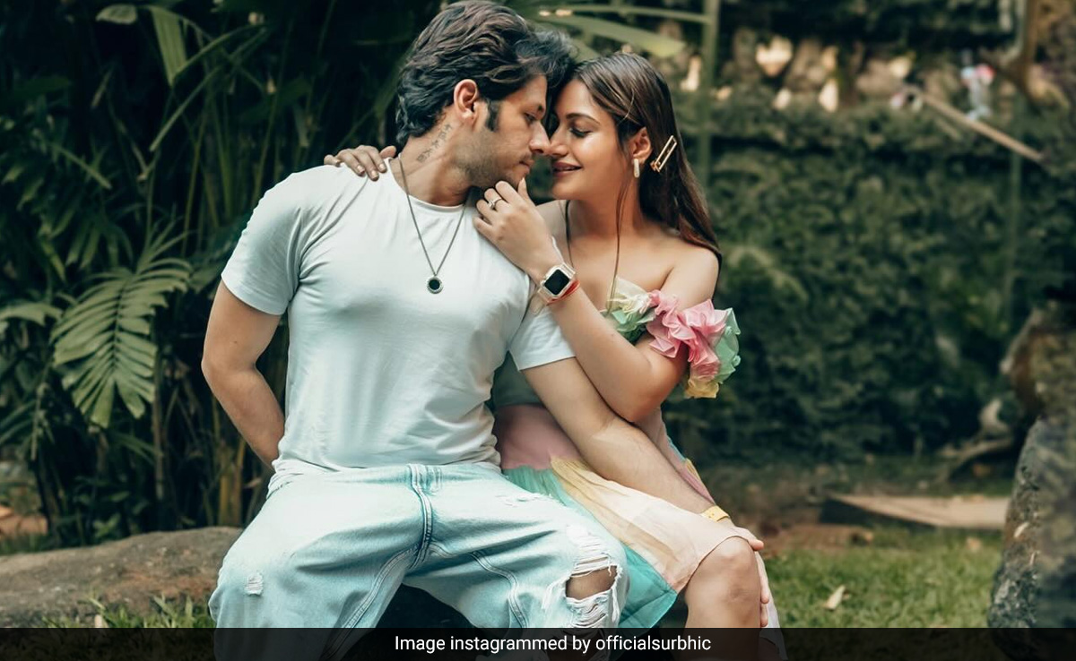 टीवी की नागिन सुरभि चंदना ने किया शादी का ऐलान, फैन्स को इस अंदाज में दी खुशखबरी