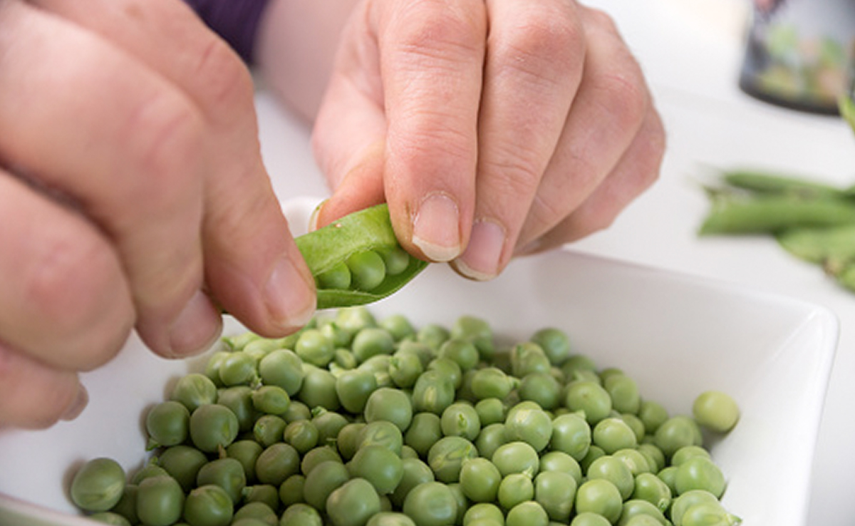 घंटों लगाकर छीलते हैं मटर तो देख लें यह ट्रिक एकबार आजमाकर, चुटकियों में छिलकों से अलग हो जाएंगे दाने 