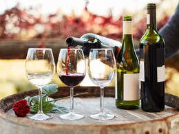 Wine Glossary: Common Terminology Every Wine Lover Should Know Wine Glossary: Common Terminology Every Wine Lover Should Know