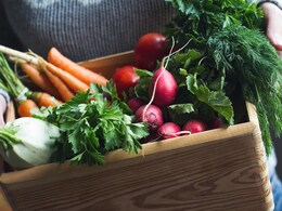 6 Winter Foods You Can Keep On Your Plate All Year Long