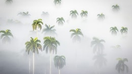 This Place In Tamil Nadu Is Freezing At Near Zero Degrees. Experts Worried