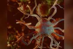 World Neglected Tropical Diseases Day: Top Five NTDs Prevalent In India World Neglected Tropical Diseases Day: Top Five NTDs Prevalent In India