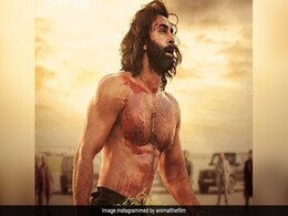 पठान का रिकॉर्ड तोड़ने के बाद एनिमल का अगला टारगेट जवान! देखें अब तक कितनी कमाई कर चुकी है रणबीर की फिल्म  पठान का रिकॉर्ड तोड़ने के बाद एनिमल का अगला टारगेट जवान! देखें अब तक कितनी कमाई कर चुकी है रणबीर की फिल्म